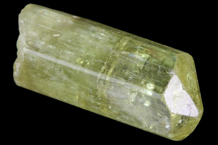Lustrous Yellow Apatite Crystal - Morocco #82536